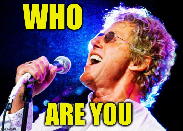 Roger Daltry | WHO ARE YOU | image tagged in roger daltry | made w/ Imgflip meme maker