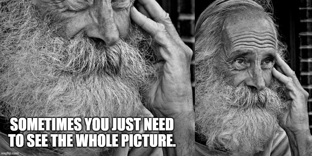 Sometimes you just need to see the whole picture. | SOMETIMES YOU JUST NEED TO SEE THE WHOLE PICTURE. | image tagged in words of wisdom,think about it | made w/ Imgflip meme maker