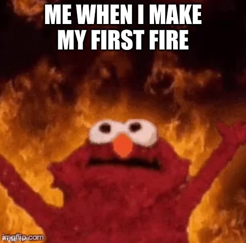 Me when I make my first fire | ME WHEN I MAKE MY FIRST FIRE | image tagged in funny meme | made w/ Imgflip meme maker