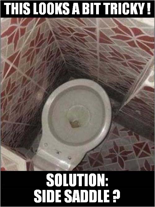 A Challenging Toilet ! | THIS LOOKS A BIT TRICKY ! SOLUTION: SIDE SADDLE ? | image tagged in toilet,challenge,side saddle | made w/ Imgflip meme maker