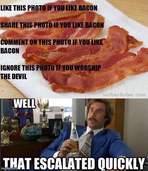 Mmmm baconnnnn | image tagged in funny,well that escalated quickly | made w/ Imgflip meme maker