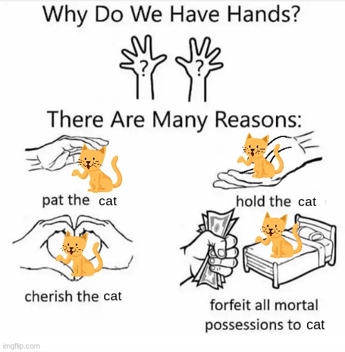 so THAT'S why we worship cats | cat; cat; cat; cat | image tagged in why do we have hands all blank,cat,egypt | made w/ Imgflip meme maker