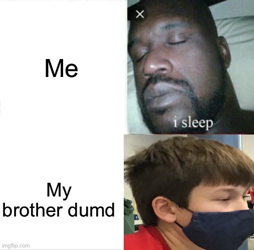 Bro | Me; My brother dumb | image tagged in memes,sleeping shaq | made w/ Imgflip meme maker
