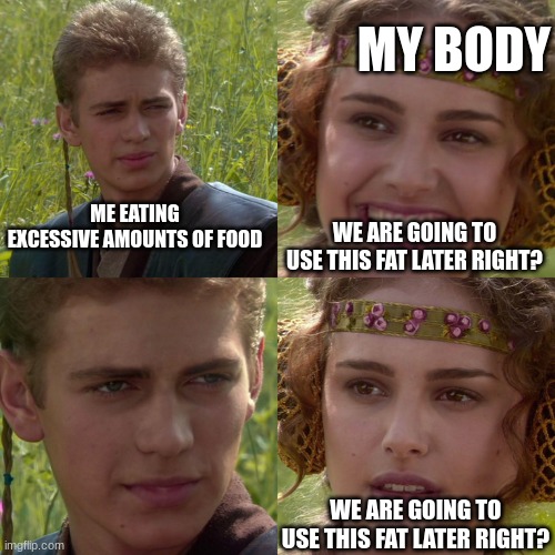 Anakin Padme 4 Panel |  MY BODY; ME EATING EXCESSIVE AMOUNTS OF FOOD; WE ARE GOING TO USE THIS FAT LATER RIGHT? WE ARE GOING TO USE THIS FAT LATER RIGHT? | image tagged in anakin padme 4 panel,health | made w/ Imgflip meme maker