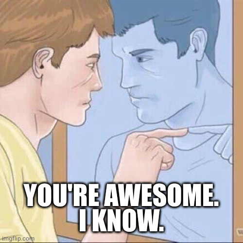 Pointing mirror guy | YOU'RE AWESOME.
I KNOW. | image tagged in pointing mirror guy | made w/ Imgflip meme maker