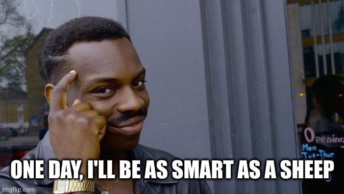 Roll Safe Think About It Meme | ONE DAY, I'LL BE AS SMART AS A SHEEP | image tagged in memes,roll safe think about it | made w/ Imgflip meme maker