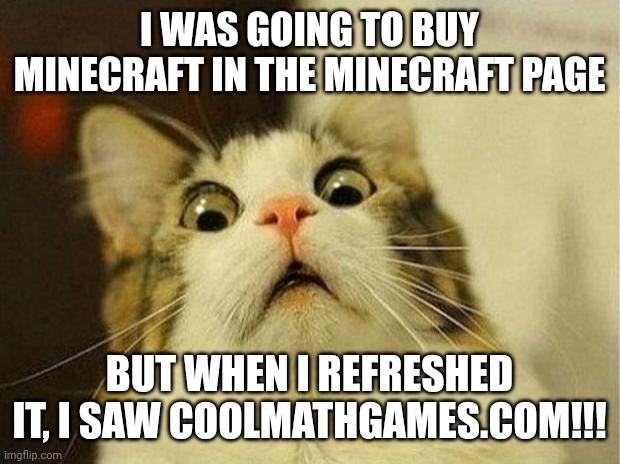 Scared Cat | I WAS GOING TO BUY MINECRAFT IN THE MINECRAFT PAGE; BUT WHEN I REFRESHED IT, I SAW COOLMATHGAMES.COM!!! | image tagged in memes,scared cat | made w/ Imgflip meme maker