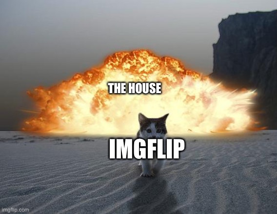 cat explosion | THE HOUSE IMGFLIP | image tagged in cat explosion | made w/ Imgflip meme maker