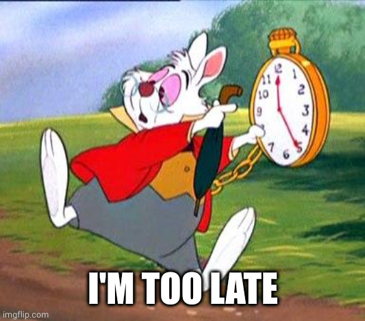 White Rabbit "I'm late!" | I'M TOO LATE | image tagged in white rabbit i'm late | made w/ Imgflip meme maker