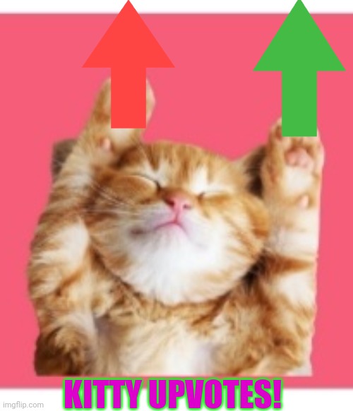 KITTY UPVOTES! | made w/ Imgflip meme maker