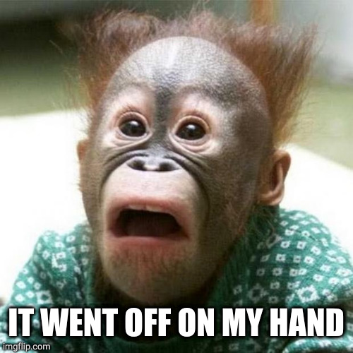 Shocked Monkey | IT WENT OFF ON MY HAND | image tagged in shocked monkey | made w/ Imgflip meme maker