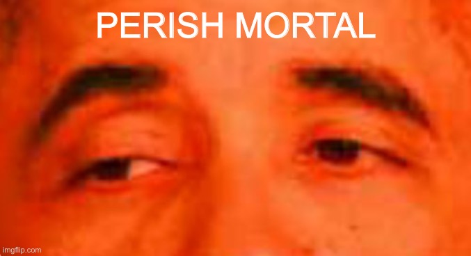 then perish | PERISH MORTAL | image tagged in then perish | made w/ Imgflip meme maker