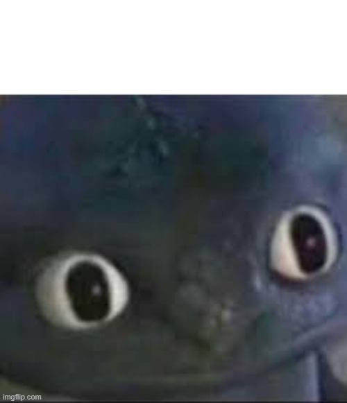 Unsettled Toothless | image tagged in unsettled toothless | made w/ Imgflip meme maker