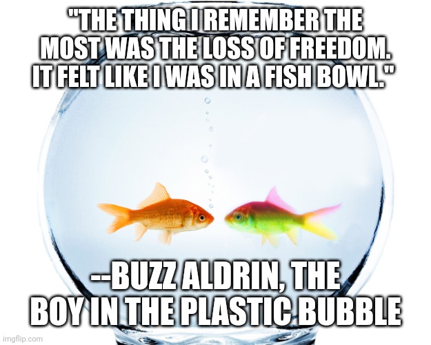 Fish bowl | "THE THING I REMEMBER THE MOST WAS THE LOSS OF FREEDOM. IT FELT LIKE I WAS IN A FISH BOWL."; --BUZZ ALDRIN, THE BOY IN THE PLASTIC BUBBLE | image tagged in fish bowl | made w/ Imgflip meme maker