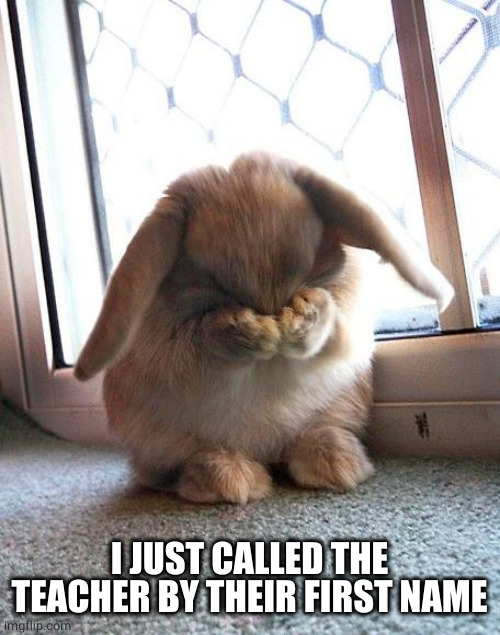 embarrassed bunny | I JUST CALLED THE TEACHER BY THEIR FIRST NAME | image tagged in embarrassed bunny | made w/ Imgflip meme maker