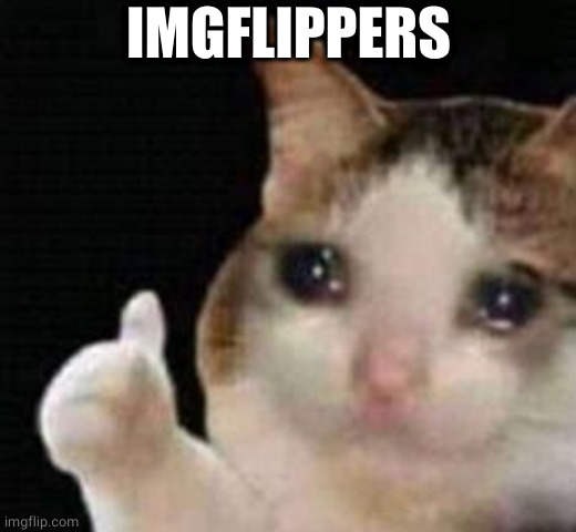 Approved crying cat | IMGFLIPPERS | image tagged in approved crying cat | made w/ Imgflip meme maker