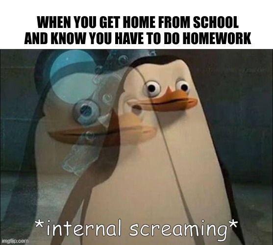 Private Internal Screaming | WHEN YOU GET HOME FROM SCHOOL AND KNOW YOU HAVE TO DO HOMEWORK | image tagged in private internal screaming | made w/ Imgflip meme maker