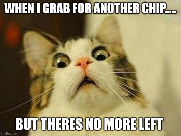happens all the time | WHEN I GRAB FOR ANOTHER CHIP..... BUT THERES NO MORE LEFT | image tagged in memes,scared cat | made w/ Imgflip meme maker