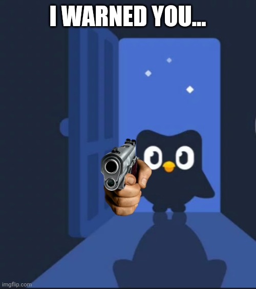 Duolingo bird | I WARNED YOU... | image tagged in duolingo bird | made w/ Imgflip meme maker