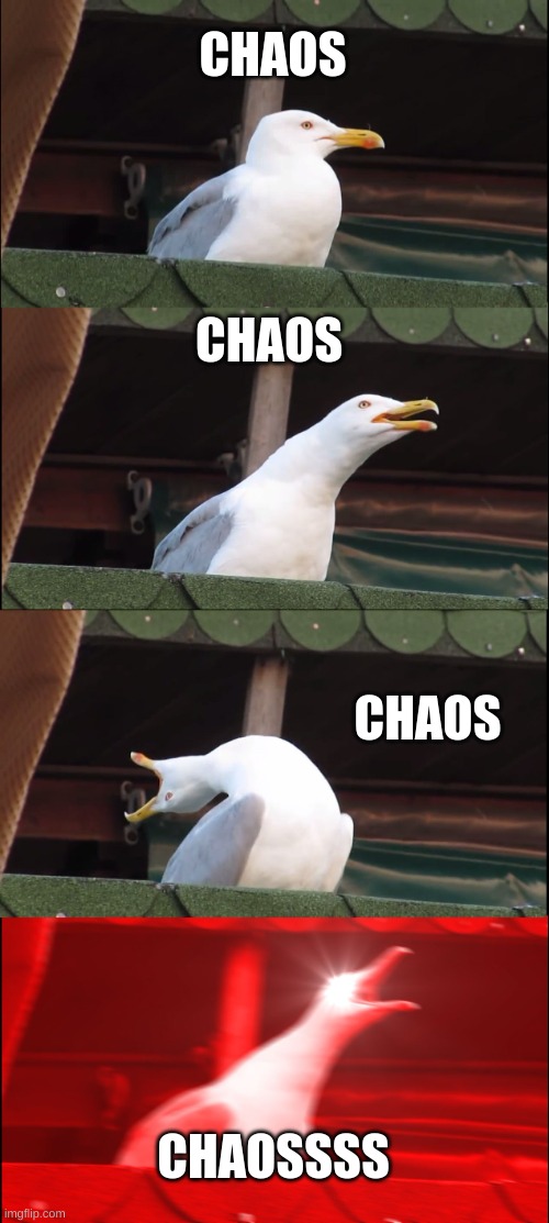 CHaos | CHAOS; CHAOS; CHAOS; CHAOSSSS | image tagged in memes,inhaling seagull,chaos | made w/ Imgflip meme maker