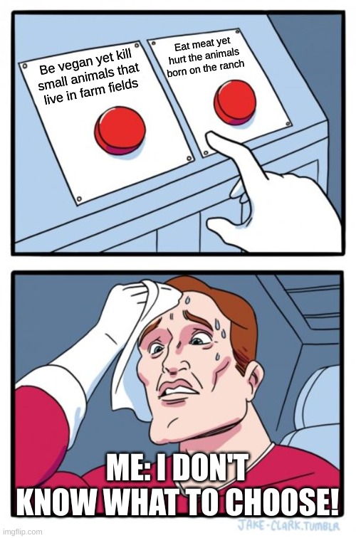Two Buttons Meme | Eat meat yet hurt the animals born on the ranch; Be vegan yet kill small animals that live in farm fields; ME: I DON'T KNOW WHAT TO CHOOSE! | image tagged in memes,two buttons,impossible | made w/ Imgflip meme maker