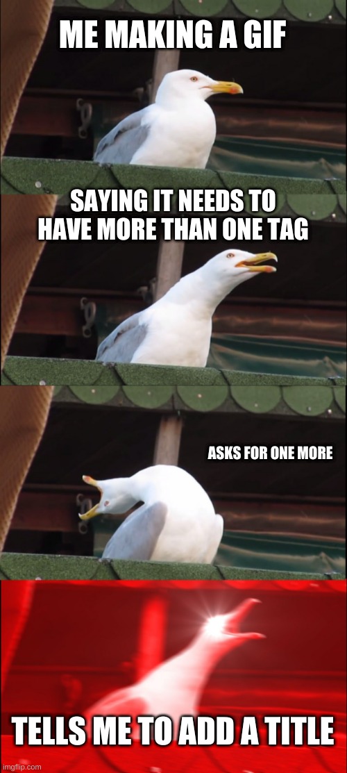 Inhaling Seagull | ME MAKING A GIF; SAYING IT NEEDS TO HAVE MORE THAN ONE TAG; ASKS FOR ONE MORE; TELLS ME TO ADD A TITLE | image tagged in memes,inhaling seagull | made w/ Imgflip meme maker