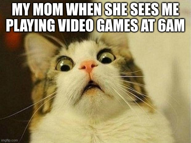 Scared Cat | MY MOM WHEN SHE SEES ME PLAYING VIDEO GAMES AT 6AM | image tagged in memes,scared cat | made w/ Imgflip meme maker
