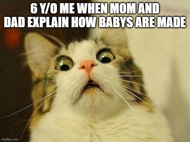 Scared Cat | 6 Y/O ME WHEN MOM AND DAD EXPLAIN HOW BABYS ARE MADE | image tagged in memes,scared cat | made w/ Imgflip meme maker
