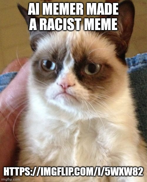 Racist memes are not welcome >:( | AI MEMER MADE A RACIST MEME; HTTPS://IMGFLIP.COM/I/5WXW82 | image tagged in memes,grumpy cat | made w/ Imgflip meme maker