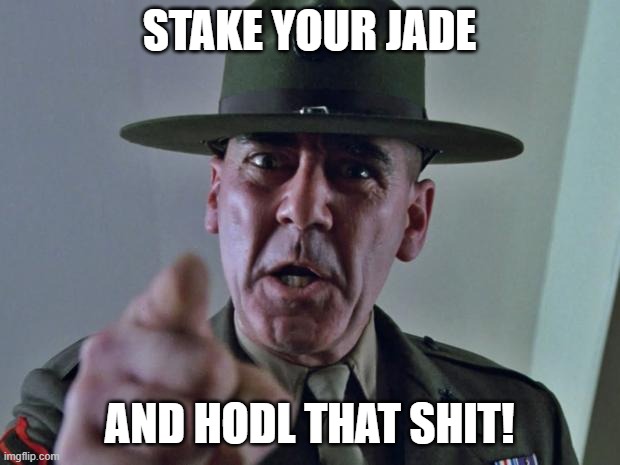 Stake Your Jade | STAKE YOUR JADE; AND HODL THAT SHIT! | image tagged in drill sergeant | made w/ Imgflip meme maker