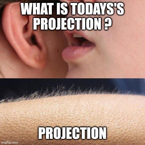 Whisper and Goosebumps | WHAT IS TODAYS'S PROJECTION ? PROJECTION | image tagged in whisper and goosebumps | made w/ Imgflip meme maker