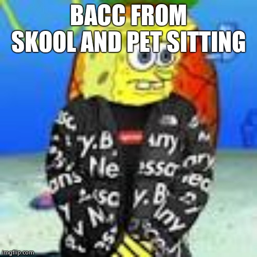 Spongebob Drip | BACC FROM SKOOL AND PET SITTING | image tagged in spongebob drip | made w/ Imgflip meme maker