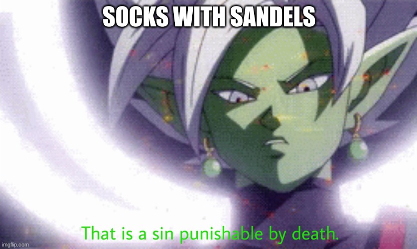 "Ningen" | SOCKS WITH SANDELS | image tagged in ningen | made w/ Imgflip meme maker