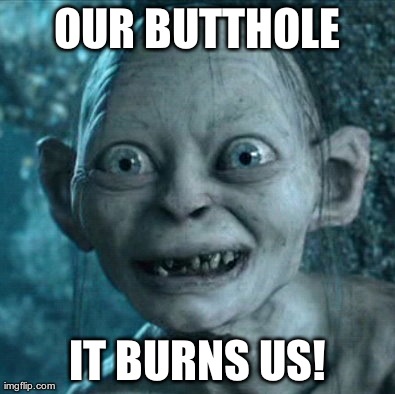 Gollum | OUR BUTTHOLE IT BURNS US! | image tagged in memes,gollum,AdviceAnimals | made w/ Imgflip meme maker