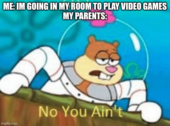 No You Ain't | ME: IM GOING IN MY ROOM TO PLAY VIDEO GAMES
MY PARENTS: | image tagged in no you ain't | made w/ Imgflip meme maker