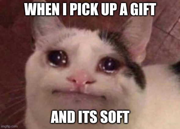 christmas gifts from grandmas are always socks | WHEN I PICK UP A GIFT; AND ITS SOFT | image tagged in crying cat,merry christmas,gifts | made w/ Imgflip meme maker