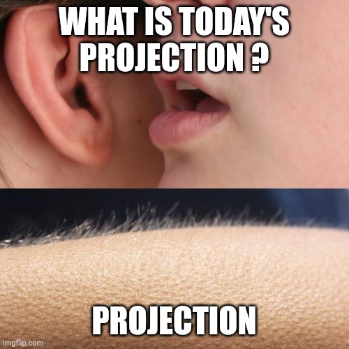 Whisper and Goosebumps | WHAT IS TODAY'S PROJECTION ? PROJECTION | image tagged in whisper and goosebumps | made w/ Imgflip meme maker