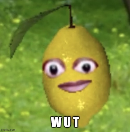 Cursed lemon | W U T | image tagged in cursed lemon | made w/ Imgflip meme maker