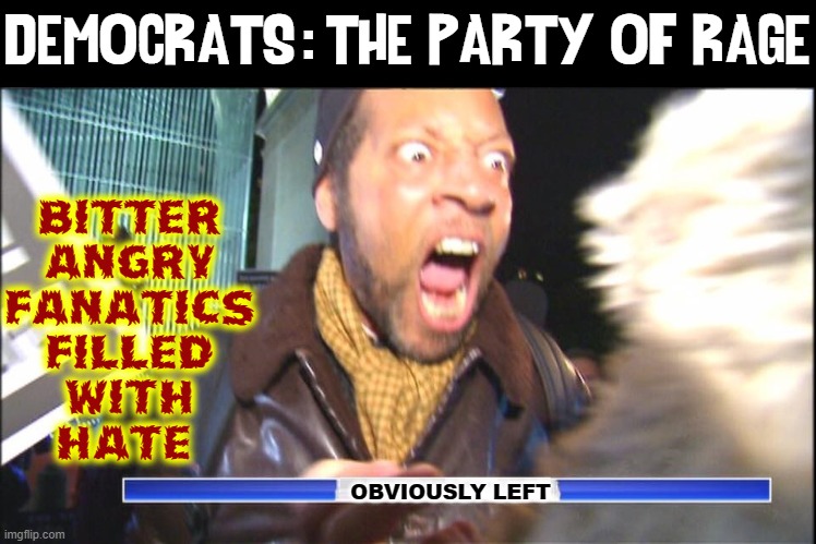 Look, a happy democrat.  J/K. That's just guys on top, not you saps | :; DEMOCRATS  THE PARTY OF RAGE; Bitter
Angry
Fanatics
filled
with
Hate; OBVIOUSLY LEFT | image tagged in vince vance,bitter,angry,hate,rage,memes | made w/ Imgflip meme maker