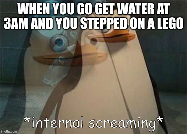 lego | WHEN YOU GO GET WATER AT 3AM AND YOU STEPPED ON A LEGO | image tagged in private internal screaming | made w/ Imgflip meme maker