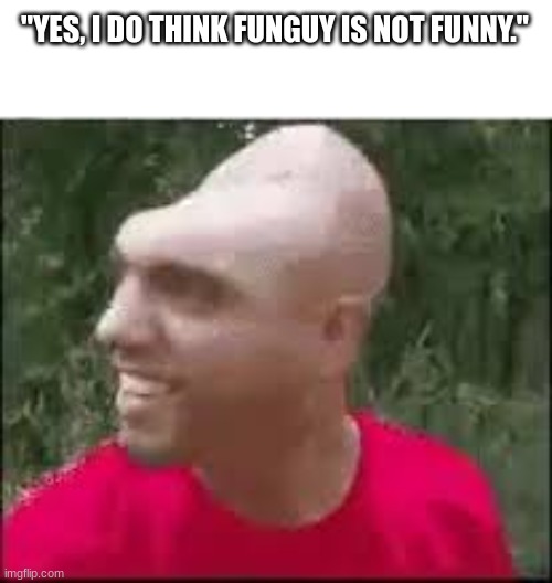 Dishweed | "YES, I DO THINK FUNGUY IS NOT FUNNY." | image tagged in dishweed | made w/ Imgflip meme maker