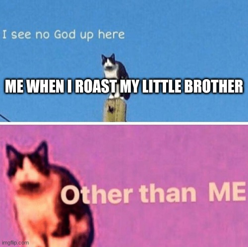 roast | ME WHEN I ROAST MY LITTLE BROTHER | image tagged in hail pole cat | made w/ Imgflip meme maker