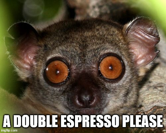 Caffeinated Lemur | A DOUBLE ESPRESSO PLEASE | image tagged in caffeinated lemur | made w/ Imgflip meme maker