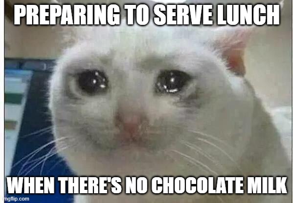 crying cat | PREPARING TO SERVE LUNCH; WHEN THERE'S NO CHOCOLATE MILK | image tagged in crying cat | made w/ Imgflip meme maker