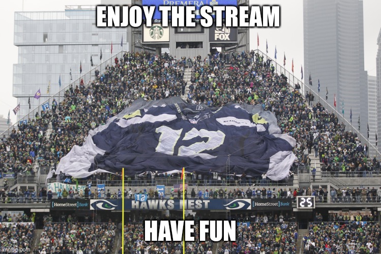 12th man Seattle Seahawks | ENJOY THE STREAM; HAVE FUN | image tagged in 12th man seattle seahawks | made w/ Imgflip meme maker