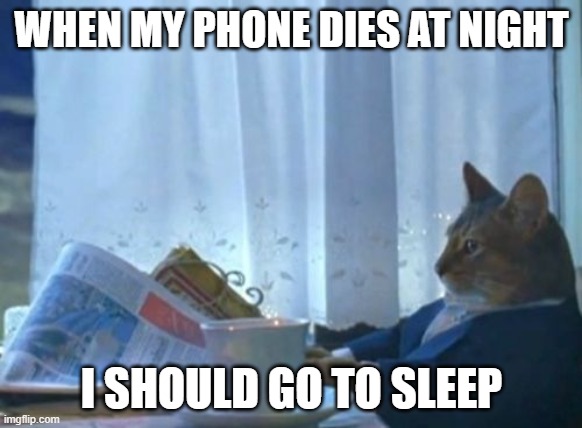 when the phone dies | WHEN MY PHONE DIES AT NIGHT; I SHOULD GO TO SLEEP | image tagged in memes,i should buy a boat cat | made w/ Imgflip meme maker