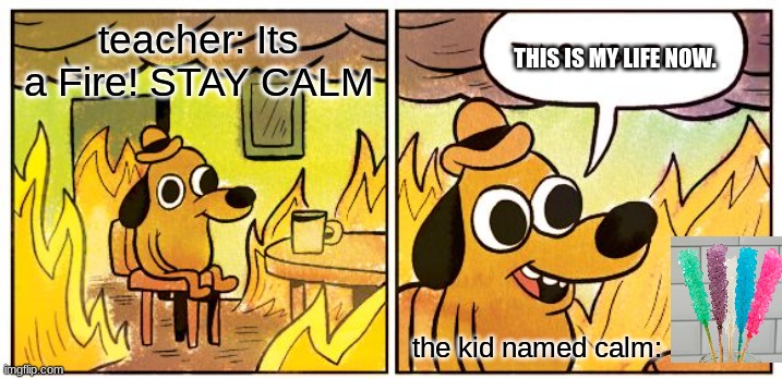 five minute crafts makes me lose brain cells `-` | teacher: Its a Fire! STAY CALM; THIS IS MY LIFE NOW. the kid named calm: | image tagged in memes,this is fine | made w/ Imgflip meme maker
