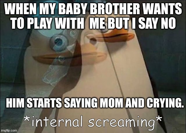 It happens every time | WHEN MY BABY BROTHER WANTS TO PLAY WITH  ME BUT I SAY NO; HIM STARTS SAYING MOM AND CRYING. | image tagged in private internal screaming | made w/ Imgflip meme maker