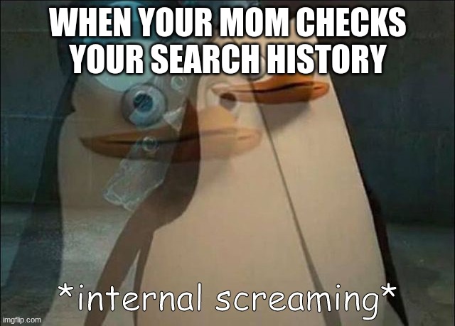 When your mom checks your search history | WHEN YOUR MOM CHECKS YOUR SEARCH HISTORY | image tagged in private internal screaming | made w/ Imgflip meme maker