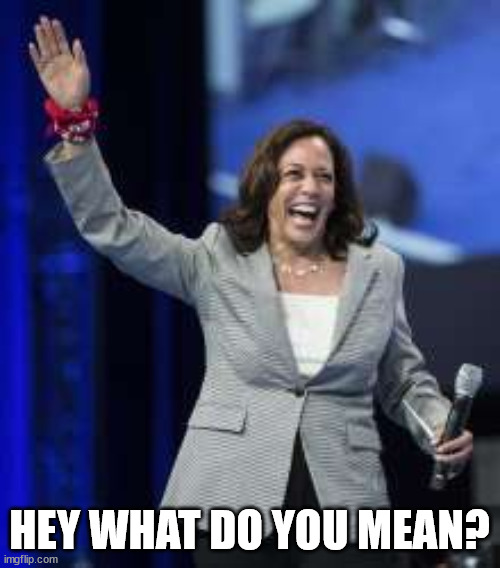 Kamala harris with one hand up | HEY WHAT DO YOU MEAN? | image tagged in kamala harris with one hand up | made w/ Imgflip meme maker